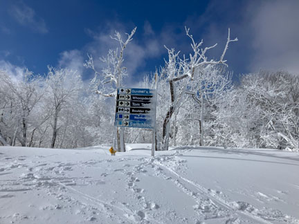 Ski Sugar 2