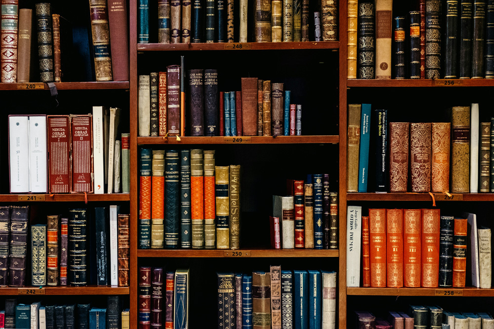 Interior of Malaprop’s Bookstore with bookshelves and cozy atmosphere