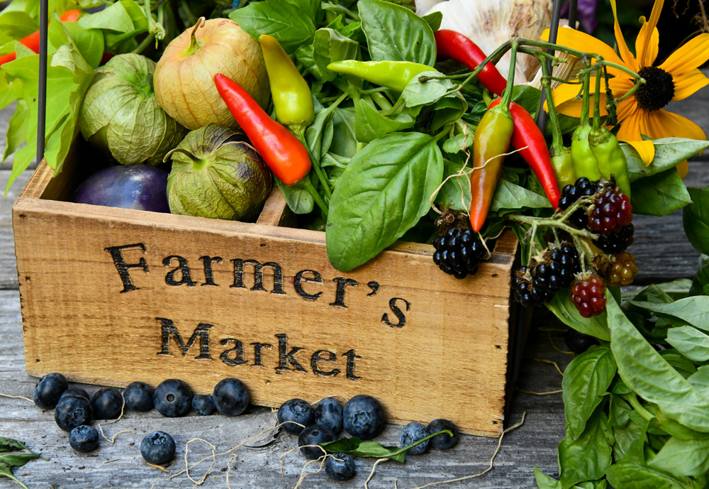 Stalls at the Asheville farmers market with fresh produce and local vendors